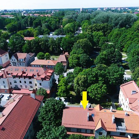 Cosy Park Apartment, Free Parking, Self-Check-In 克莱佩达 外观 照片